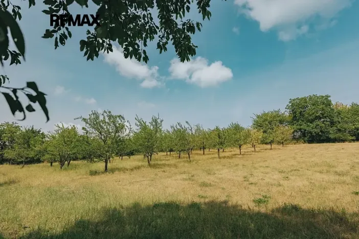 Prodej rodinného domu, Dlouhá Loučka, 192 m2
