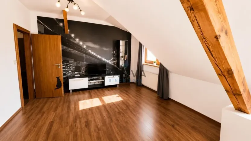 Pronájem bytu 2+kk, Plzeň - Východní Předměstí, Francouzská třída, 50 m2