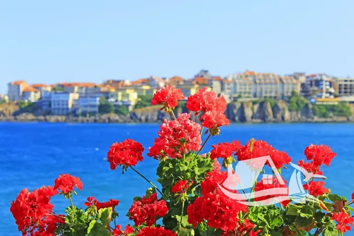 Prodej bytu 2+kk, Sozopol, Bulharsko, 52 m2