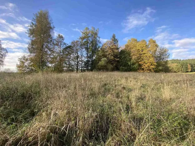 Prodej pozemku, Králíky - Horní Lipka, 3207 m2