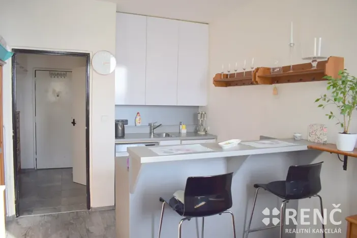 Prodej bytu 1+kk, Brno, Halasovo náměstí, 23 m2
