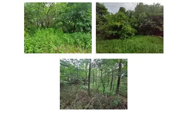 Dražba pozemku, Budišov nad Budišovkou, 1541 m2