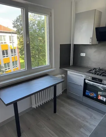 Pronájem bytu 2+1, Chodov, Revoluční, 60 m2