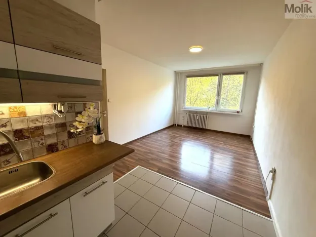 Pronájem bytu 2+kk, Most, Josefa Suka, 40 m2