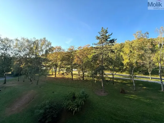 Pronájem bytu 2+kk, Most, Josefa Suka, 40 m2