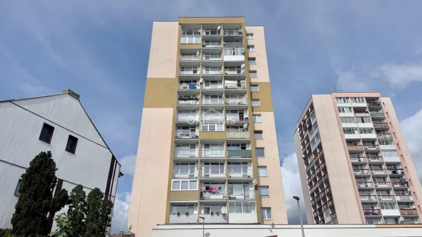 Prodej bytu 1+1, Chomutov, Rooseveltova, 40 m2