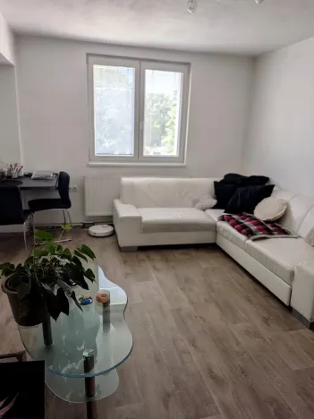 Prodej bytu 2+1, Hluboká nad Vltavou, Palackého, 53 m2