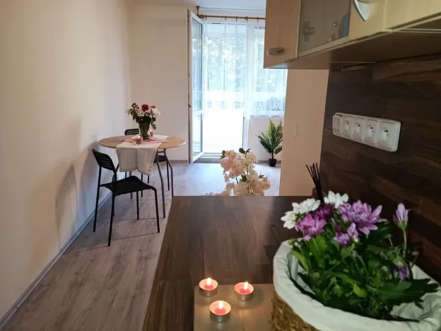 Pronájem bytu 2+kk, Brno, Oderská, 67 m2
