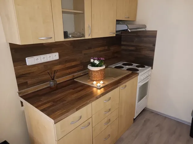 Pronájem bytu 2+kk, Brno, Oderská, 67 m2