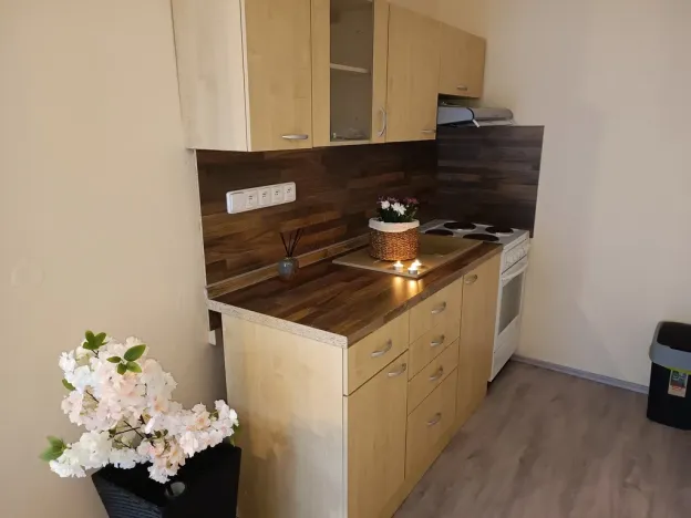 Pronájem bytu 2+kk, Brno, Oderská, 67 m2