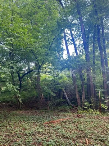 Prodej pozemku pro bydlení, Halenkovice, 1620 m2