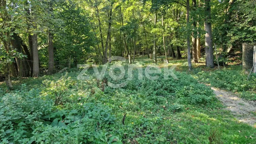 Prodej lesa, Halenkovice, 1620 m2