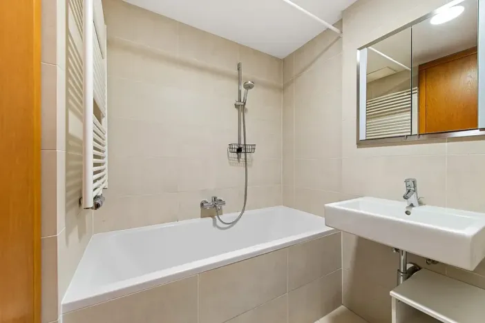 Prodej bytu 3+kk, Praha - Žižkov, Pitterova, 88 m2