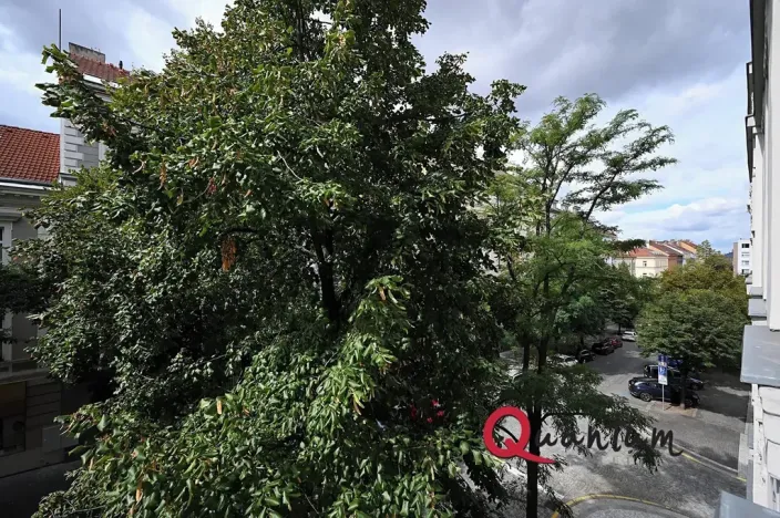 Pronájem bytu 2+kk, Praha - Žižkov, Žižkovo náměstí, 58 m2