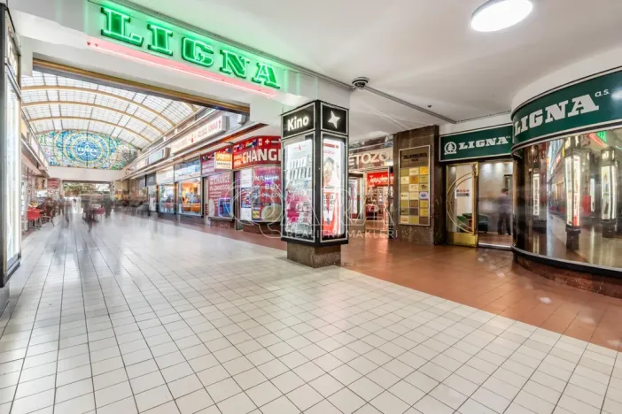 Pronájem kanceláře, Praha - Nové Město, Vodičkova, 230 m2