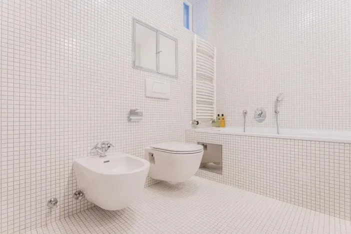 Pronájem bytu 3+kk, Praha - Vinohrady, Jana Masaryka, 133 m2