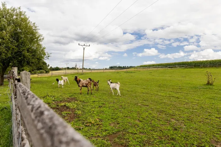 Prodej pozemku, Litíč - Nouzov, 3288 m2