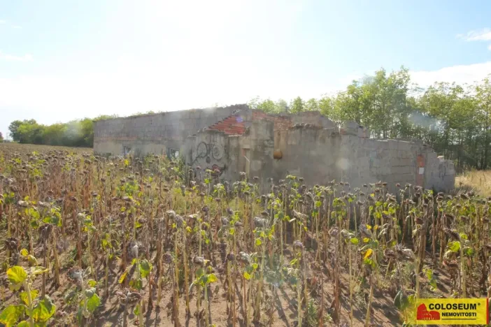 Prodej komerčního pozemku, Hrušovany nad Jevišovkou, 210 m2