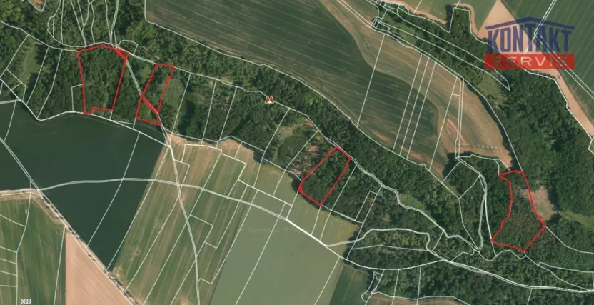 Prodej lesa, Chorušice - Velký Újezd, 58553 m2