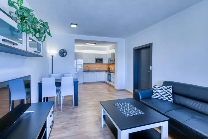 Pronájem bytu 2+kk, Plzeň, U Borských kasáren, 52 m2