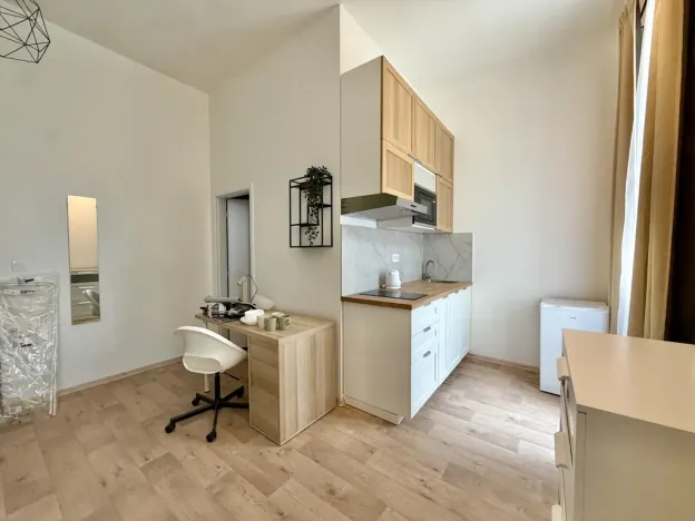 Pronájem bytu 1+kk, Praha - Nové Město, Kateřinská, 35 m2