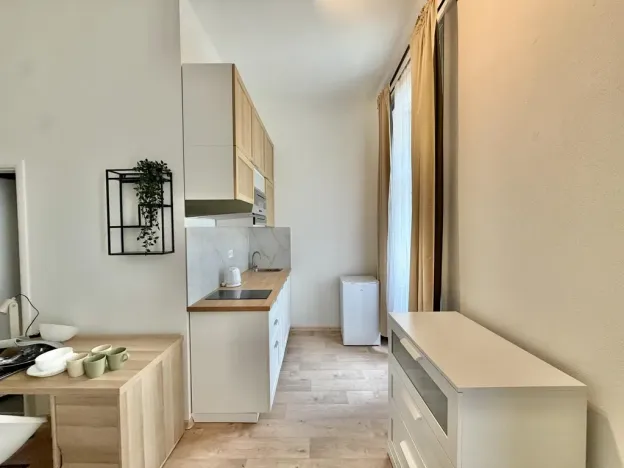 Pronájem bytu 1+kk, Praha - Nové Město, Kateřinská, 35 m2