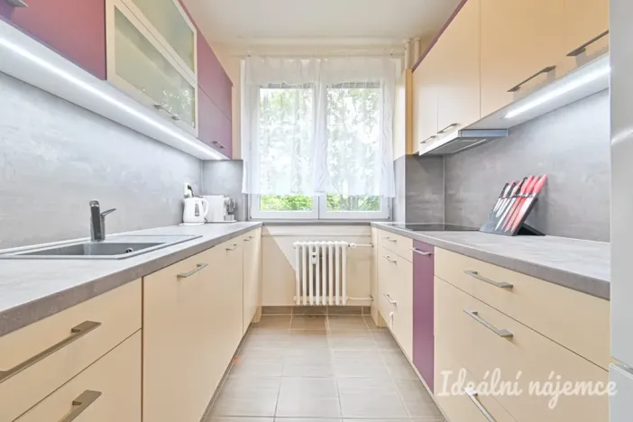 Pronájem bytu 3+1, Brno, Molákova, 73 m2