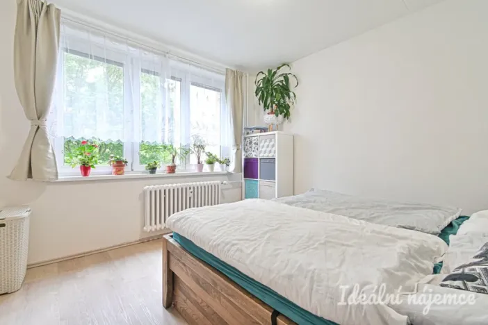 Pronájem bytu 3+1, Brno, Molákova, 73 m2