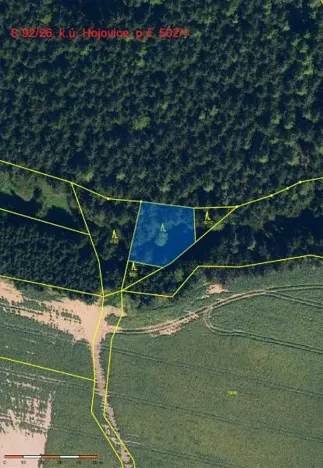 Prodej lesa, Hojovice, 985 m2