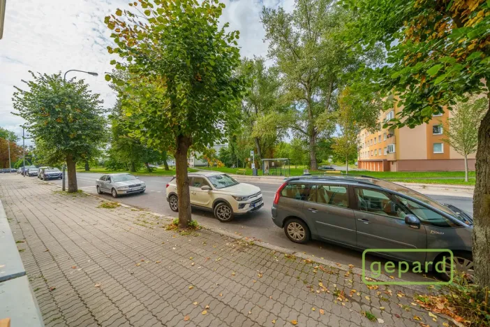 Prodej bytu 1+1, Karlovy Vary, Závodu míru, 37 m2
