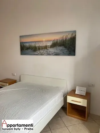Pronájem bytu 2+kk, Praha - Karlín, Kubova, 43 m2
