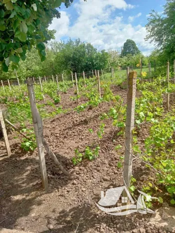 Prodej rodinného domu, Pavel, Bulharsko, 80 m2