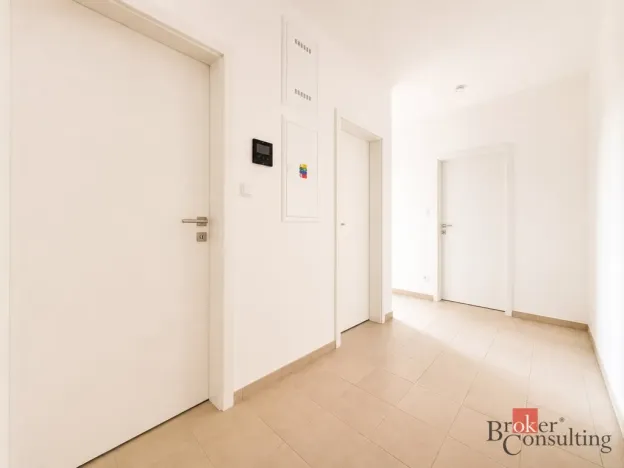 Prodej bytu 2+kk, Plzeň - Jižní Předměstí, Železná, 58 m2
