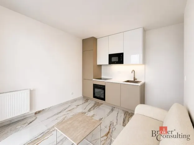 Pronájem bytu 2+kk, Plzeň - Jižní Předměstí, Železná, 36 m2