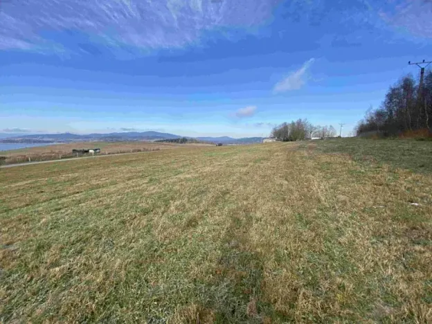 Dražba louky, Černá v Pošumaví, 2972 m2