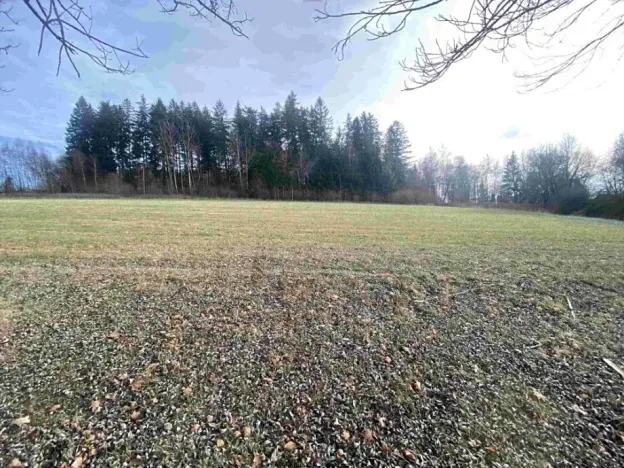 Dražba louky, Černá v Pošumaví, 2972 m2