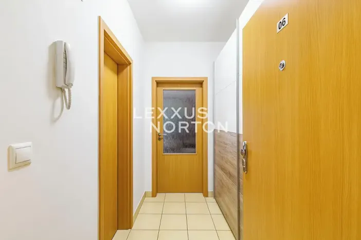 Prodej bytu 1+kk, Praha - Hloubětín, Nepelova, 29 m2