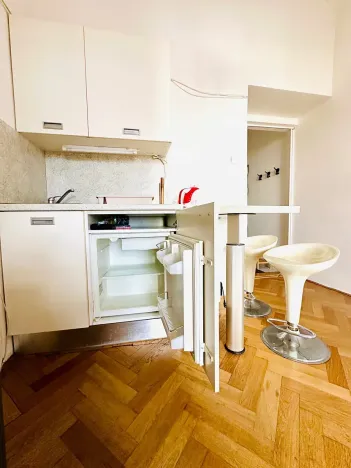 Pronájem bytu 1+kk, Praha - Žižkov, Fibichova, 25 m2