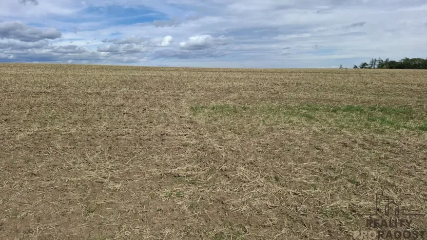 Prodej pozemku pro bydlení, Ježkovice, 4020 m2