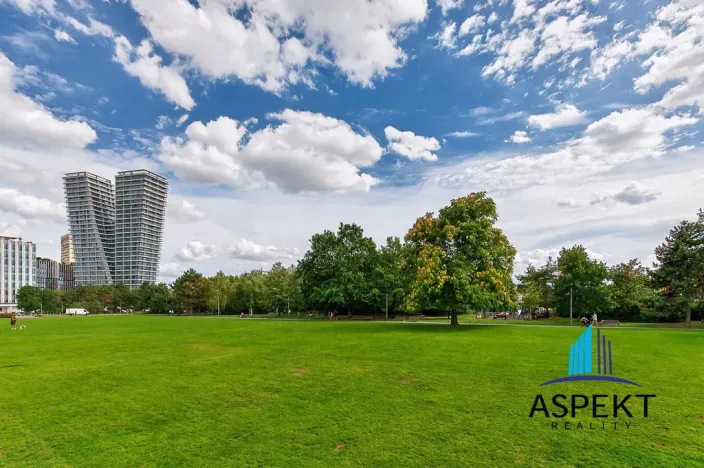 Pronájem bytu 1+kk, Praha - Podolí, Kaplická, 27 m2