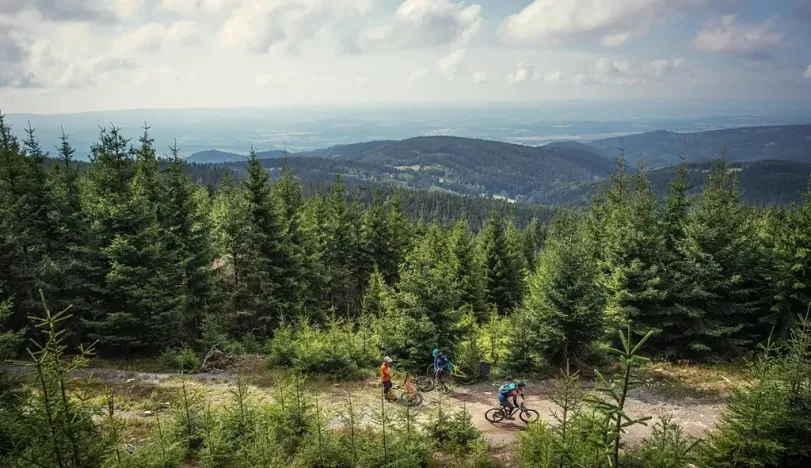 Prodej bytu 1+kk, Loučná pod Klínovcem, 37 m2