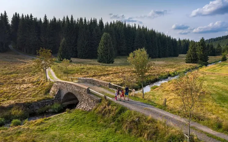 Prodej bytu 2+kk, Loučná pod Klínovcem, 51 m2