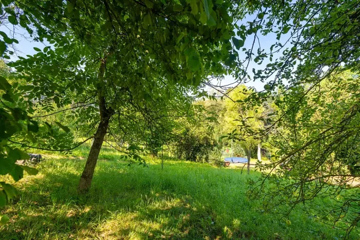 Prodej zahrady, Luhačovice, 787 m2