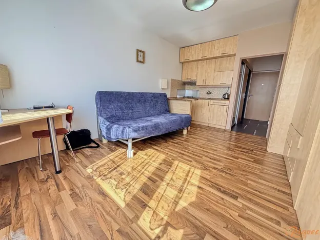 Pronájem bytu 1+kk, Praha - Braník, Vavřenova, 25 m2