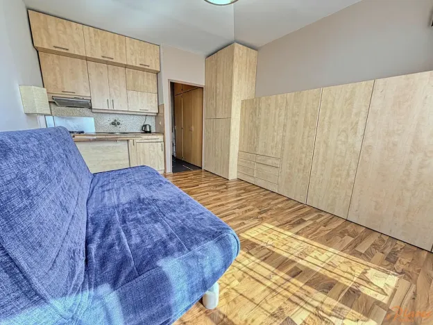 Pronájem bytu 1+kk, Praha - Braník, Vavřenova, 25 m2