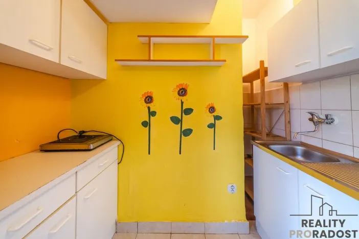 Prodej bytu 1+kk, Ostrava - Poruba, Kyjevská, 20 m2