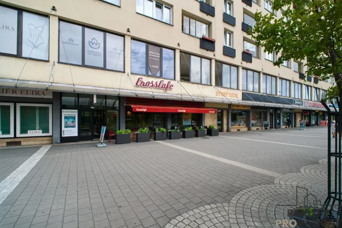 Pronájem bytu 1+kk, Havířov - Město, Dlouhá třída, 23 m2