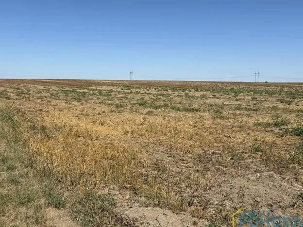 Prodej pozemku pro bydlení, Chroustovice, 8572 m2
