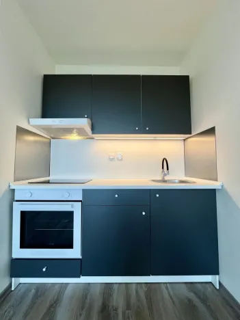 Pronájem bytu 1+kk, Ostrava - Zábřeh, Čujkovova, 28 m2