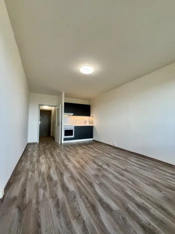 Pronájem bytu 1+kk, Ostrava, Čujkovova, 28 m2